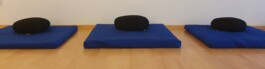 Zen Buddhismus und Meditation in Düsseldorf